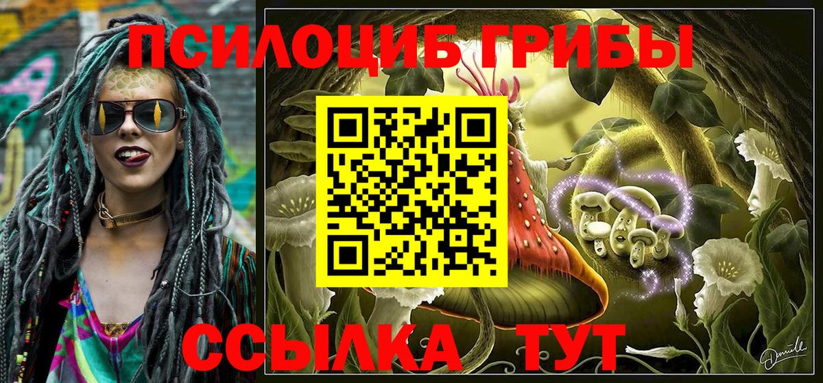 Галлюциногенные грибы Psilocybe  Вход с VPN  Галлюциногенные грибы Magic Shrooms  Вязьма 